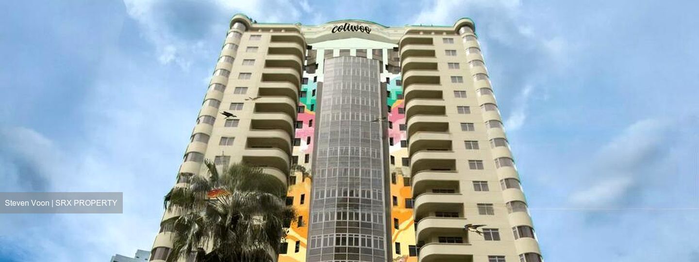 Mount Elizabeth Link (D9), Apartment #496128391